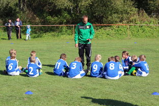 国家队战术决策效率如何提升，国家队战术决策效率如何提升的